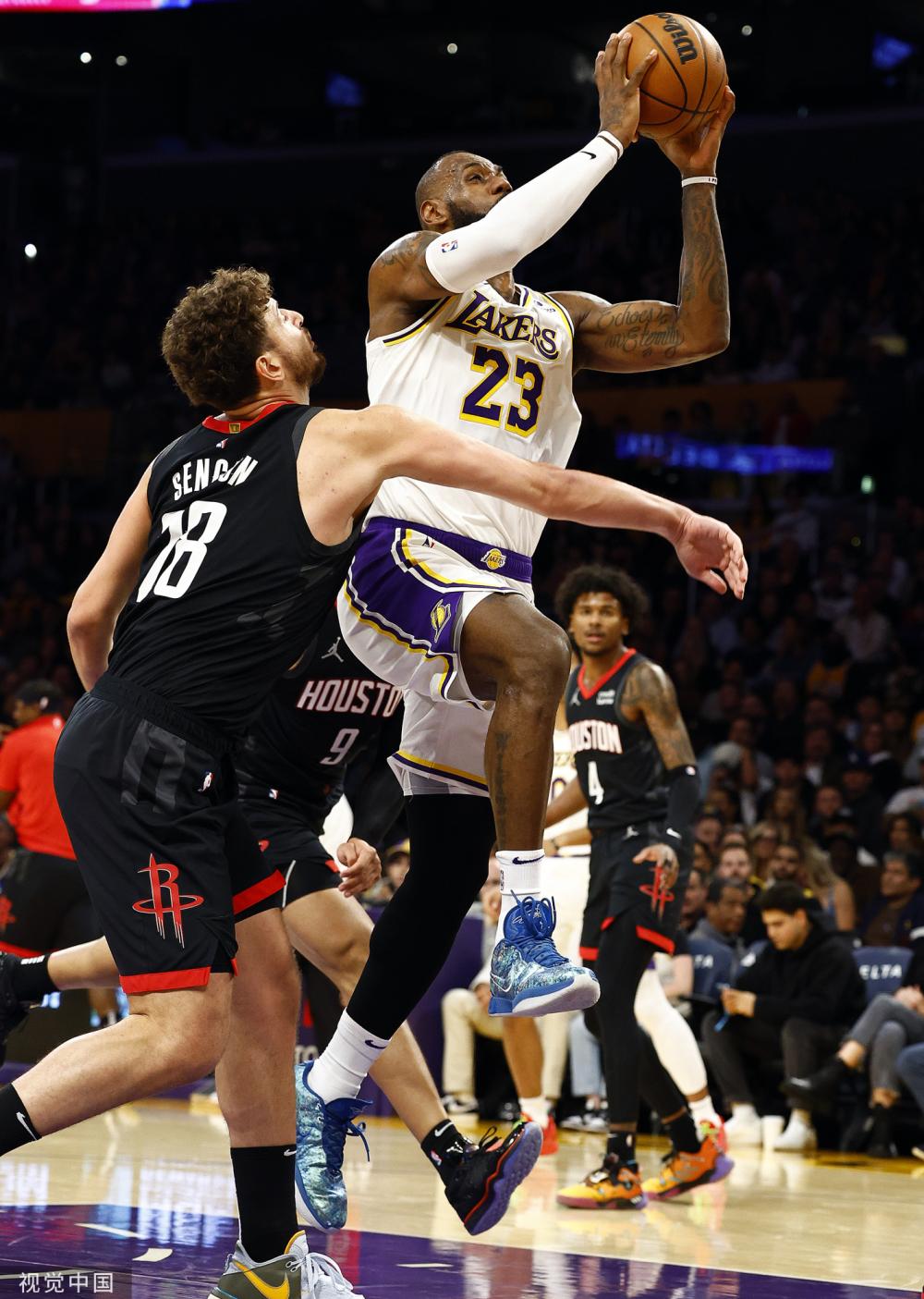 吉林東北虎 吉林東北虎